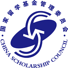 Chinese Government Scholarship