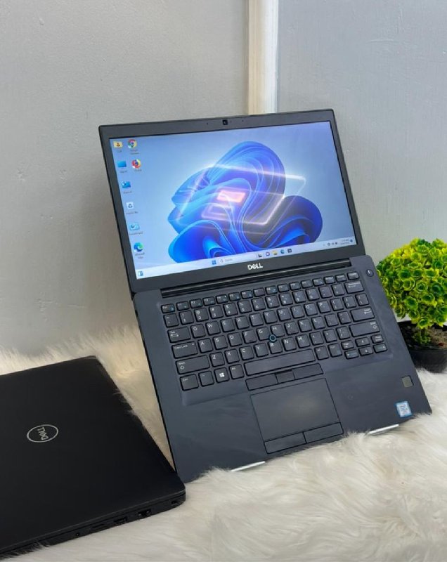 Software development