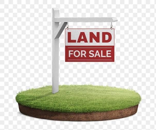 Land & Plots For Sales