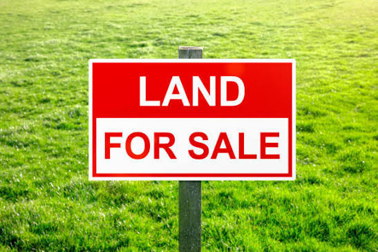 Commercial Land