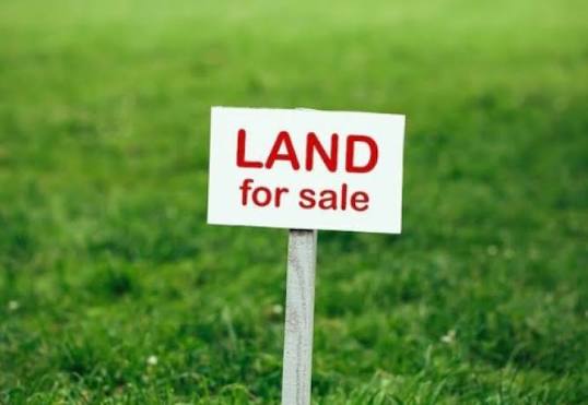 Mixed Used Land
