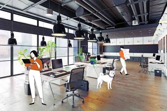 Office Space