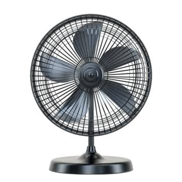 Fans