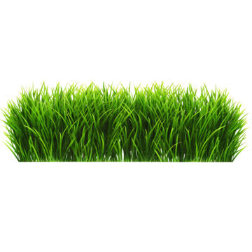 Artificial Grass