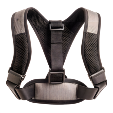Support Belts